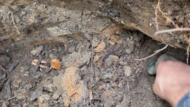 Что забыли солдаты РККА и Вермахта в своих блиндажах / finds from dugouts WW2 смотреть онлайн