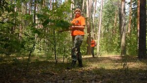 Потеряться не значит - пропасть. Лиза Алерт сигнал надежды...