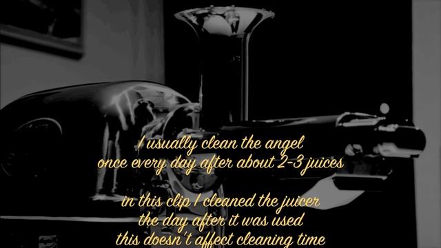 BEST JUICER EVER Angel 5500 juicing carrots and cleaning смотреть онлайн