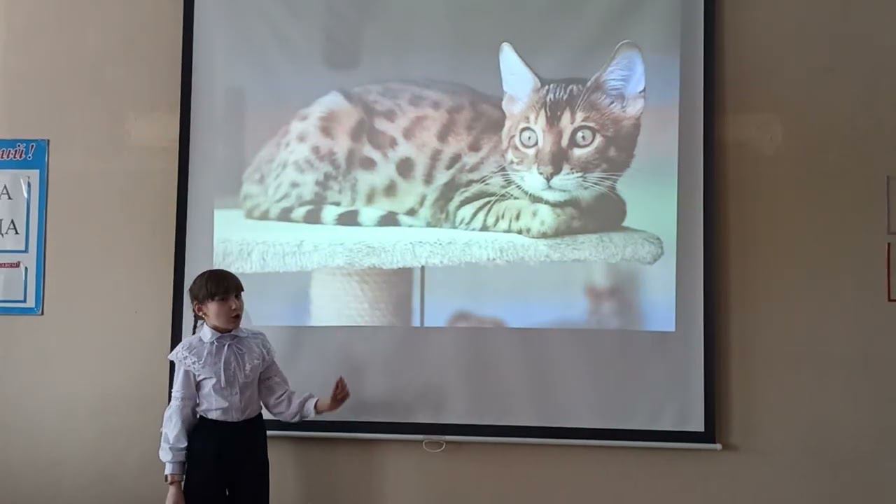 Конкурс "Красная ромашка". Участник №314 - Багаутдинова Динара, 10 лет, Агрыз