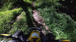 BRP DS 450 XMX