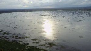 озеро Никольское (Nikolskoe lake) 2017-10-2x