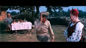 Человек собаке друг