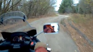 Suzuki Burgman (Skywave) 400 на асфальте и грунте