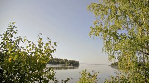Участок в Кудрино, аэросьемка