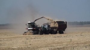 Уборка соломы .ДОН 680М, Т 150 с ПИМ 40
