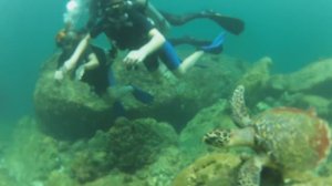 Пхукетские приключения.wmv