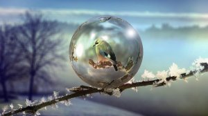 Мыльные пузыри на морозе - вот они какие!