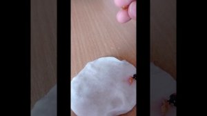 божья коровка как ей дать вторую жизнь 💖