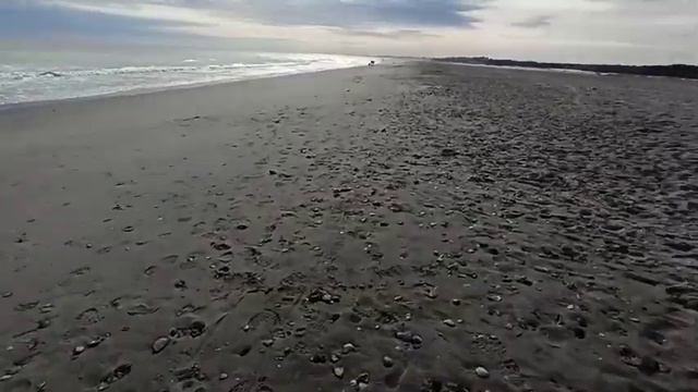 Приехал посмотреть пляж Южная Каролина.