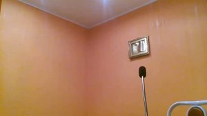 Экзамен на статус Адвоката,какие сложности могут возникнуть?Как готовиться? Какие книги читать?