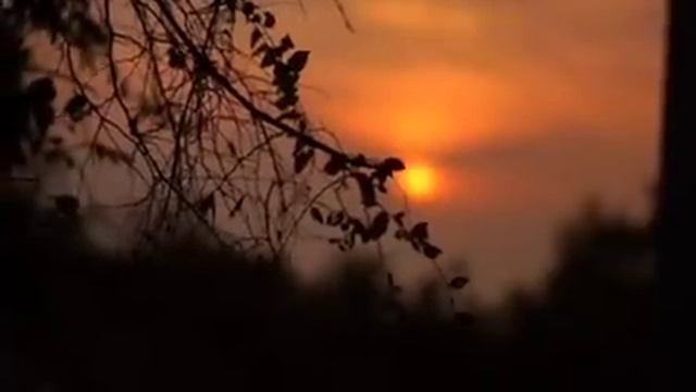 Оплата в режиме телефонного разговора