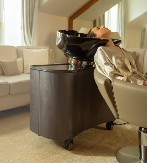 Автономная мойка для волос HUB by Maletti