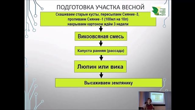Выращивание земляники                                               #земляникасадовая