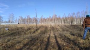 Стрельба из лука традиционный рекурсивный