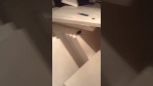 Как быстро утеплить гараж пенопластом