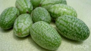 З августа - Международный день арбуза. Самые интересные факты об арбузе. Самый маленький и большой