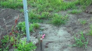 дождеватели. капельный полив. умная грядка.