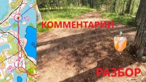 Спортивное ориентирование (headcam orienteering) - Белые Ночи 2023, Сосново, классика - 02.07.23