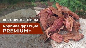 Мульча из коры лиственницы крупной фракции - дополнительная защита и декор при мульчировании почвы