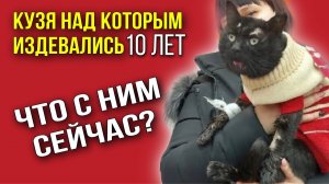 Кот Кузя, над которым издевались 10 лет | Что с ним сейчас?