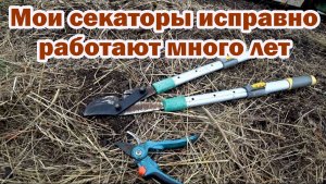 Говорим про секаторы