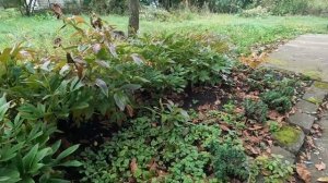 Мы купили старую дачу! Первый обзор домика и участка.