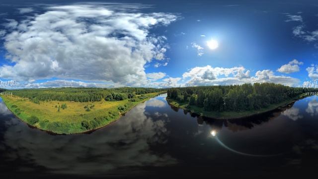 Four Seasons. Summer Forest. Relax Flight in 360 format, 12K resolution смотреть онлайн