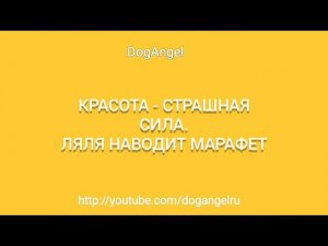 Красота - страшная сила (аудио)