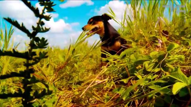 Самая красивая деревня - «Утро с Вами» 01.08.2017 смотреть онлайн