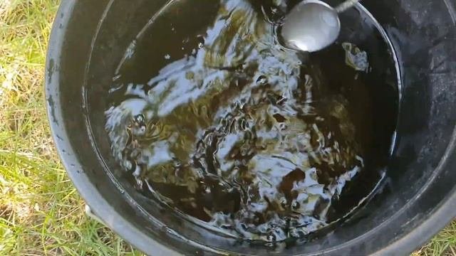 МНОГО РЕЦЕПТОВ ДАЙТЕ ЭТО Огурцам, Томатам, Перцу  и они сразу обильно заплодоносят, повысит урожай!