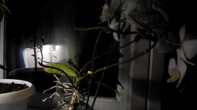 И всё же есть она, Любовь ... смотреть онлайн