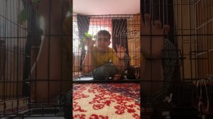 Я ограбил банк и меня посадили в тюрьму