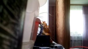 Как проверить рабочее состояние Кулера/ Трансформатор/ Кулер