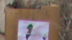 пристрелка мц 20 -01