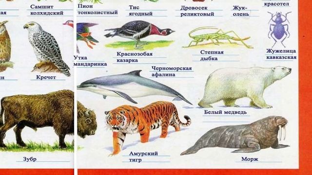 Окружающий мир. Рабочая тетрадь 4 класс 1 часть. ГДЗ стр. 35 №5 смотреть онлайн