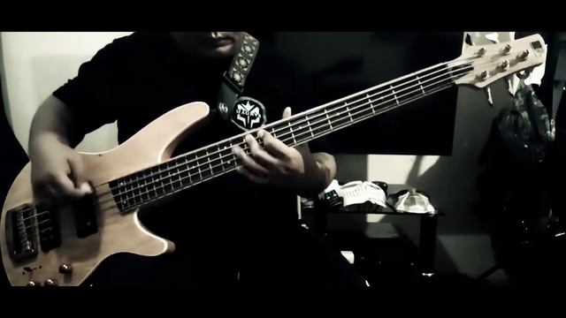 "The Invisible Pink Unicorn" (300 Violin Orchestra) Bass Playthrough смотреть онлайн