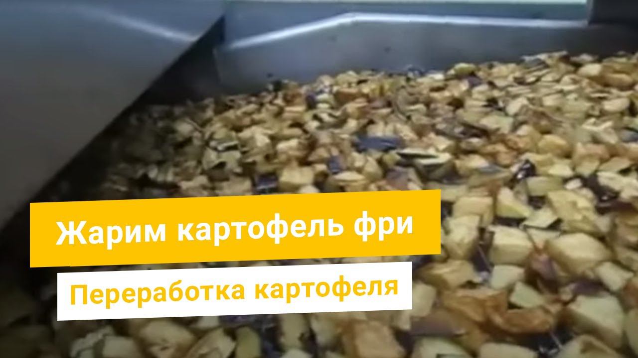 Жарка картофеля в промышленном фритюре. Картофель фри во фритюрнице – оборудование Bigtem (Турция).