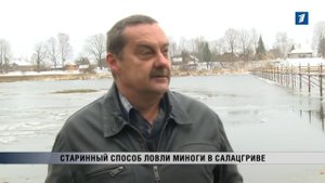 ПБК: Старинный способ ловли миноги в Салацгриве
