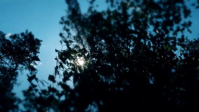 В шаге от безумного успеха и невероятной удачи  3 знака зодиака получают свое счастье в год Быка РА