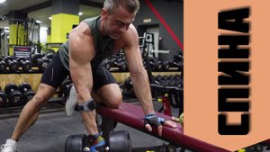 Тренировка • СПИНА • 18.11.22