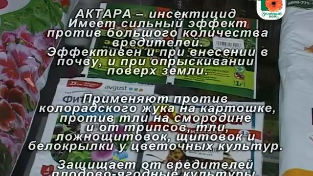 Зеленый дом: Садовые цветы дома на подоконнике смотреть онлайн