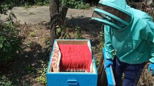 двухматочное содержание итог вывод