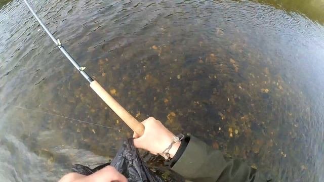 На усьву за хариусом