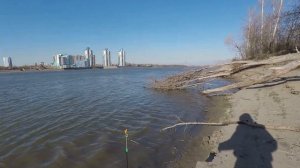 Время на НАЛИМА!ОСЕННЯЯ РЫБАЛКА НА ОБИ! ЗАКИДУШКИ НА ХИЩНИКА! Рыбацкая кухня.