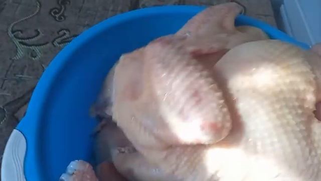 Это случилось! Люся пришла в охоту. Куры красотки. смотреть онлайн