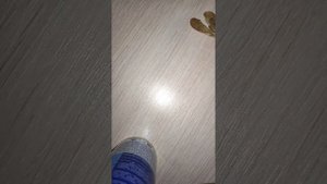 Положили семена клёна прорастать.