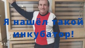 Какой инкубатор купить | Реклама