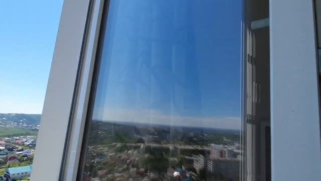 Как шпиц и кот помогают мыть окна?! смотреть онлайн