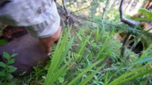 Перевал Дятлов. Определяем зимний лагерь поисковиков 1959 года